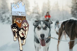 Prendedor Iditarod Days Alaska Iditarod 1985 trineo perro - Imagen 1 de 7