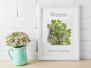 Herbs For The Kitchen Wall Art Prints On  250 gsm Card Choice of 12  on A4 - Picture 1 of 26