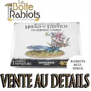 Warhammer 40000 Age Of Sigmar Herold Of Tzeentch Im Burning Wagen Details Bitz - Picture 1 of 26