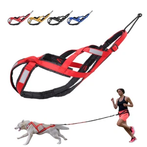 Arnés de tracción de pesas para perros ejercicios deportivos trineo para mascotas arnés reflectante - Imagen 1 de 19