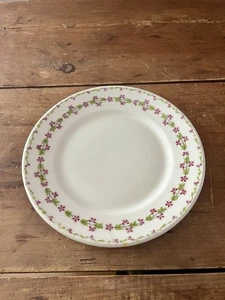 Rare Theodore Haviland Limoges France Northern Pacific Railroad Co Dinner Plate - Picture 1 of 8