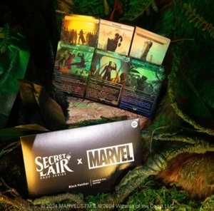 Black Panther Foil MTG Secret Lair x Marvel - Magic The Gathering In Hand - Bild 1 von 1
