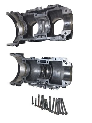 Conjunto de cárter 3005-406 OEM 1996 Arctic Cat ZR 580 moto de nieve Foto 1 de 4