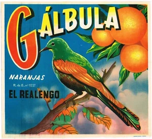 ETIQUETA CAJA NARANJA ORIGINAL VINTAGE ESPAÑOLA AÑOS 50 ESPAÑA GALBULA PÁJARO CANTOR - Imagen 1 de 1