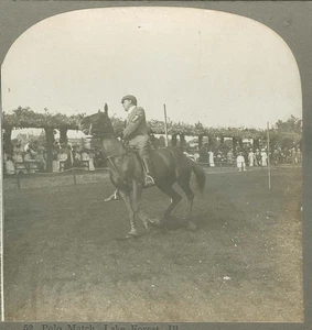 D0408~ ILLINOIS Polo Match Lake Forest c.1909 – Polo Pony & Rider - Imagen 1 de 3