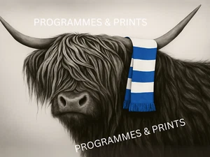 Millwall FC Highland Cow A3 A4 Druck Poster Fußball ungerahmt - Bild 1 von 1