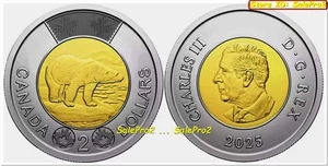 KANADA 2025 CANADIAN KING CHARLES 2 $ DOLLAR EISBÄR BI-METALL TOONIE MÜNZE UNC - Bild 1 von 2