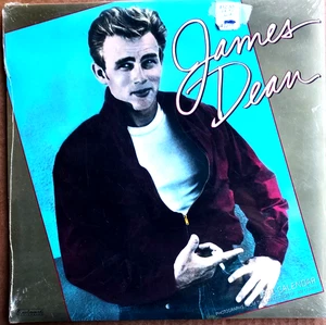 JAMES DEAN 1991 WALL CALENDAR 12” x 12” factory sealed Landmark General Corp. - Picture 1 of 2