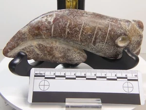 X-RARE Chinese Hongshan 5.7" Ritual Jade Carp with 75+ Pictographs w/Translation - Picture 1 of 11