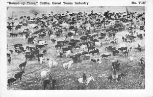Postal TX: Round-up Time, Cattle, Great Texas Industry B&W foto publicada 1952 - Imagen 1 de 2