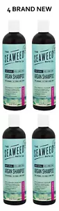 THE SEAWEED BATH CO Natural Volumizing Argan Shampoo LAVENDER (12 oz) - 4 NEW - Picture 1 of 1