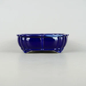 Olla de bonsái japonesa Seto artículos SATOMI forma de mokko W17,5cm H5,7cm Ruri-azul Esmaltado - Imagen 1 de 24