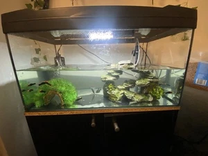 Aquarium Fish Tank and Cabinet including platy and tetra fish - Picture 1 of 2