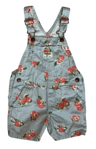 Mono corto Oshkosh B'Gosh Vestbak niñas talla 4T niño gris melocotones - Imagen 1 de 6