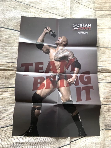 WWE Poster slam Loot crate Exclusive the ROCK Masters of the Mic 16x24 Cover