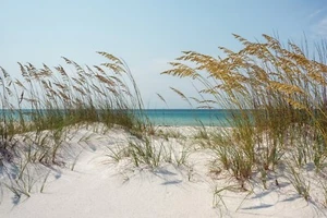 Fotomurale-DUNA DI SABBIA-(5187)-NON TESSUTO-Carta da parati-Oceano Spiaggia Erba XXL - Foto 1 di 1