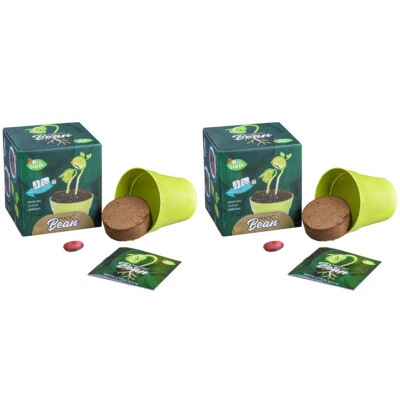 2x Mrs Green Magic Beans Growing Plant Kids/Child Science Educational Toy Assort - image 1 of 4