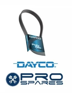 Dayco Ribbed Belt 5PK0930 - Picture 1 of 1