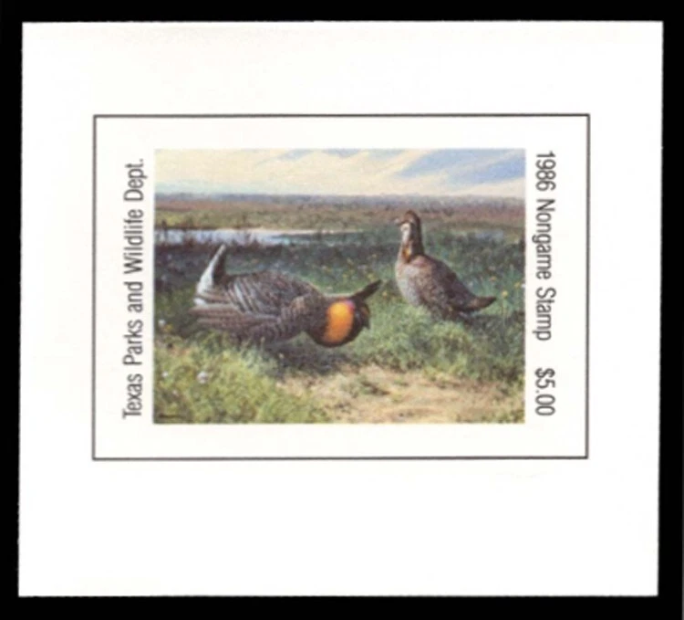 TXN2 State Duck Print Stamp Proof - Image 1 of 1
