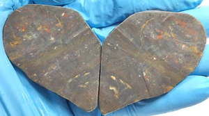 Purple Party Nodule Jasper  Slice Agate Specimen For Lapidary Cabbing Rough - Picture 1 of 11