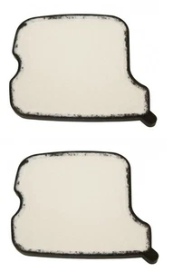Pack Of 2 Echo, Shindaiwa A226000690 Replacement Air Filter - Picture 1 of 2