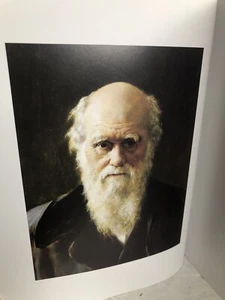 The National Portrait Gallery UK Sammlung Hayes, John. OVERSIZE SOFTCOVER Sehr guter Zustand - Bild 1 von 22