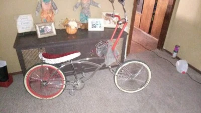 bicicleta lowrider mi pérdida tu ganancia  Foto 1 de 3