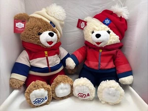Traje de invierno Holiday Time NAVIDAD Copo de nieve 2 oso de peluche niña y niño 20" *NUEVO CON ETIQUETAS* - Imagen 1 de 9