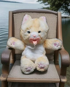 Little Live Pets Cozy Dozys Ginger the Kitty Cat Plush Pacifier Tabby Works Fine - Picture 1 of 14