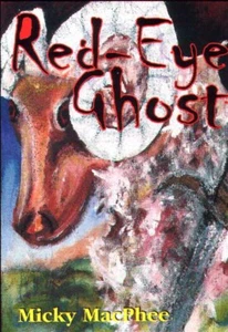 Highland clearances ghost childrens read ages 9-14s Scottish Gypsy Traveller boy - Picture 1 of 1