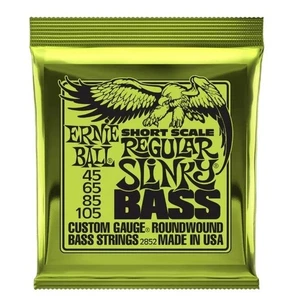 Corde basso elettrico Ernie Ball Regular Slinky scala corta 45-105 - Foto 1 di 4