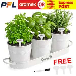 3PCS Herb Garden Planter Set with Tray Indoor Outdoor Metal Windowsill Pots - Picture 1 of 12