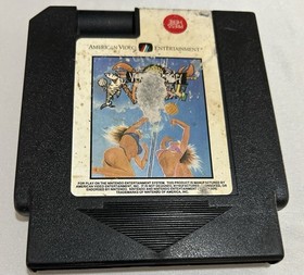 American Video Entertainment Venice Beach Volleyball NES Authentic and Tested