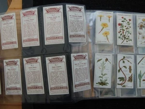 ONE COMPLETE SET CIGARETTE CARDS PLAYERS STRUGGLE FOR EXISTENCE - Picture 1 of 1