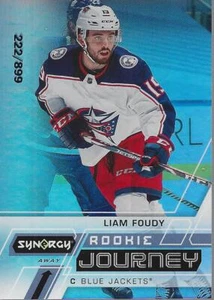 2020-21 Synergy Rookie Journey Away #RJLF Liam Foudy /899 - NM-MT - Picture 1 of 2