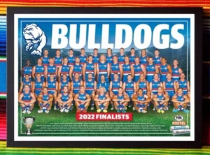 Framed 2022 WESTERN BULLDOGS AFL Finalists Poster - 62cm x 44.5cm x 3cm - Picture 1 of 4