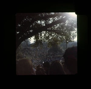 1968 Rose Bowl Parade Float Transparency 35mm Slide 11 - Picture 1 of 2