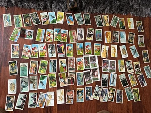 Panini Play Better Soccer, Brooke Bond PG TIPS X90 Bundle - Picture 1 of 1