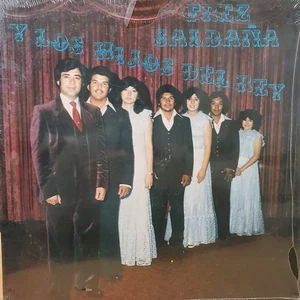 "Tejano Tex Mex" Frez Saldana y Los Hijos del Rey "Inmensa Alegria" Rare LP - Picture 1 of 2