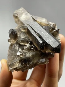 LEMURIAN Smoky Quartz Wand Cluster Natural Termination Brazil 4.0oz Crystal S24 - Picture 1 of 12