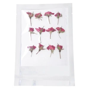 Red Rose Type Pressed Flowers with Stems Resin Card Materials Floral 60 Pcs - Picture 1 of 8