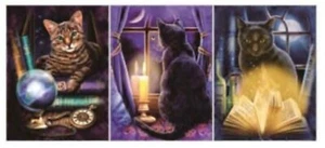 3d changing picture Mystic Kitty, 3 images in 1!! 15.5"x11.5" - Picture 1 of 1