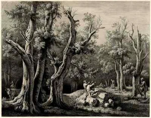 Impresión fotográfica The Vast Forest 1798 A4 - Imagen 1 de 1