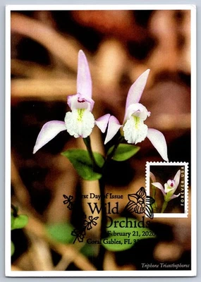#5435-44 Wild Orchids Set of 10 FDC Maxi Card - Image 1 of 4