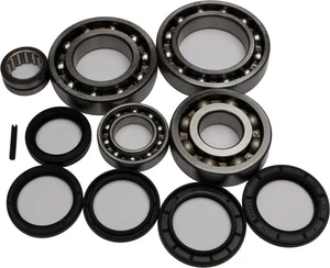 All Balls Differential Bearing and Seal Kit Rear 25-2062 - Foto 1 di 1