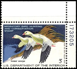 U.S. 1977 DUCK HUNTING STAMPS "ROSS' GEESE" MINT - Picture 1 of 1