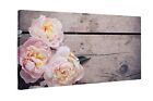 Leinwandbild Kunst-Druck Leuchtende Pfingstrosenblüten 100x60 cm