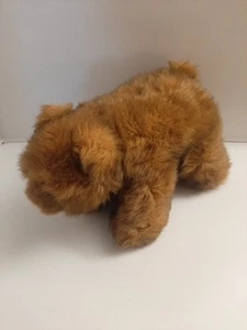 Juguete de peluche marrón oso pardo TCA Group - Imagen 1 de 8