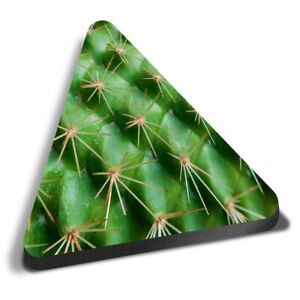 Triangle MDF Magnets - Cactus Plant Close Up Spikey #16737