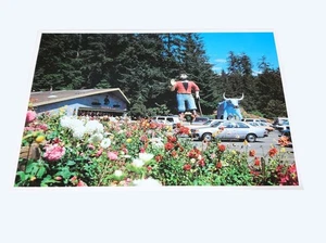 Postal de colección Paul Bunyan & Babe El Buey Azul impresiones de secuoyas sin usar hechas en Italia - Imagen 1 de 2